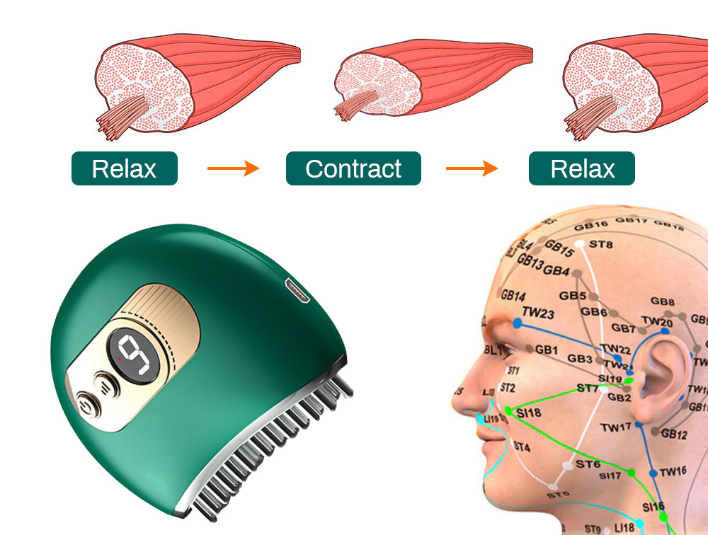 Nurbini™ EMS Hair Reborn Scalp Acupoint Massager